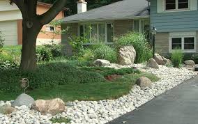 Sustainable Landscape Design Lawn Alternatives Quiet Nature Lawn Alternatives Sustainable Landscaping Small Garden Landscape