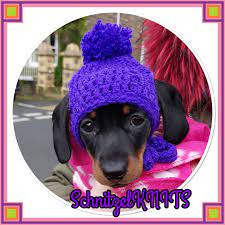 Dog Bobble Hat With Ear Holes Puppy Hat Dog Beanie Etsy Puppy Hats Dog Beanie Dog Hat