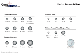 16 All Inclusive Caliber Rounds Chart