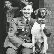 Our all famous dog names list includes more than 400 famous names from the big screen to tv and from politics to comic strips. Best Images Of Famous Dogs With Descriptions And Links