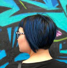 The mysterious black hair can be popped up with. 19 Most Amazing Blue Black Hair Color Looks Of 2021