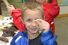 What's the coolest stuff to show Alabama Virtual Academy k12 students