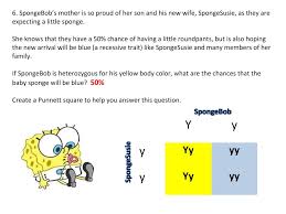 Spongebob genetics answer key each question. Genetics With Spongebob Learning How To Use Punnett Squares Middle School Science Blog