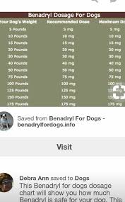 Benadryl For Dog Chart Pet Info Wellness Recipes Dog