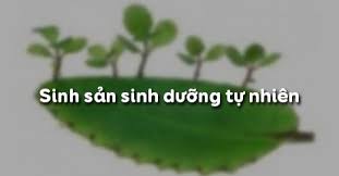 Sở dĩ hiển đạt, thi thô được tài năng với đời đều nhờ thầy. Sinh Há»c 6 Bai 26 Sinh Sáº£n Sinh DÆ°á»¡ng Tá»± Nhien