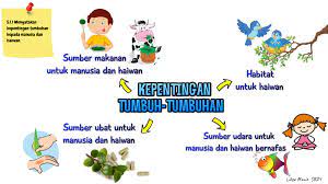 Kitaran nitrogen membantu membawa nitrogen lengai dari udara ke dalam proses biokimia pada tumbuhan dan kemudian ke haiwan. Nota Tumbuh Tumbuhan
