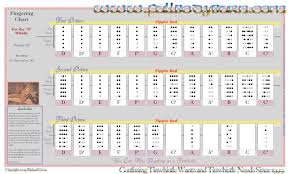 32 Prototypal D Whistle Finger Chart