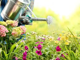 Check spelling or type a new query. Design Your Perfect Garden In 6 Easy Steps