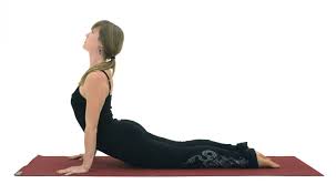 How To Do Upward Facing Dog Correctly Upward Facing Dog Yoga Poses Lotus Pose Yoga