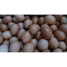 Check spelling or type a new query. Telur Ayam Negeri Curah Per Kg Shopee Indonesia