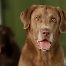 Jennifer Rudolph Photography