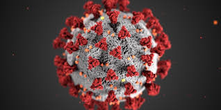 Viruses infect all types of life forms, from animals and. Che Faccia Abbiamo Dato Al Coronavirus Il Post