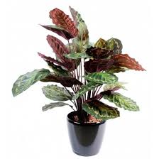 Check spelling or type a new query. Plante Verte Artificielle 26 Produits Plus Vrais Que Nature