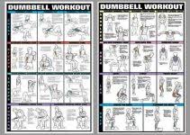 Dumbbell Workout Chart Printable Room Surf Com