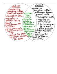 Mitosis Vs Meiosis Venn Diagram Image Search Results Biology Lessons Science Biology Biology Classroom