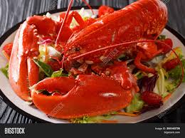 Add cornmeal to help clams release any grit; Cooked Sea Lobster Image Photo Free Trial Bigstock