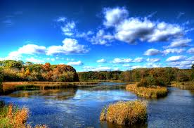 Autumn Colors Busse Woods Schaumburg Illinois Photo Location Favorite Places My Kind Of Town