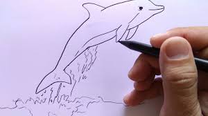 Bermainlah di laut dengan makhluk lain, lakukan aksi air, dan menyelam. Cara Menggambar Lumba Lumba Youtube