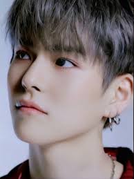  Yoshi Treasure Treasures Yoshi Yg Entertainment