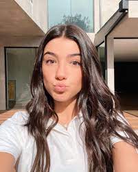 Charli D Amelio New Hair Long Hair Styles New Hair Hair