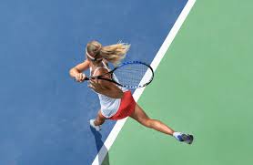 Here is the link to the tournament on tennislink so if you are looking for draws you will find them there. Usta Adult Tournament Arden Hills A Wellness Resort