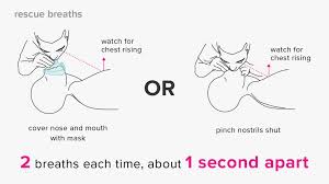 You can wash your hands any time you think they might be dirty, but there are certain situations where washing your hands is essential. How To Perform Cpr Hands Only And Mouth To Mouth