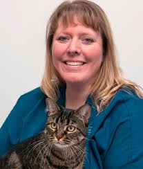 Feline Veterinarians in Kentwood