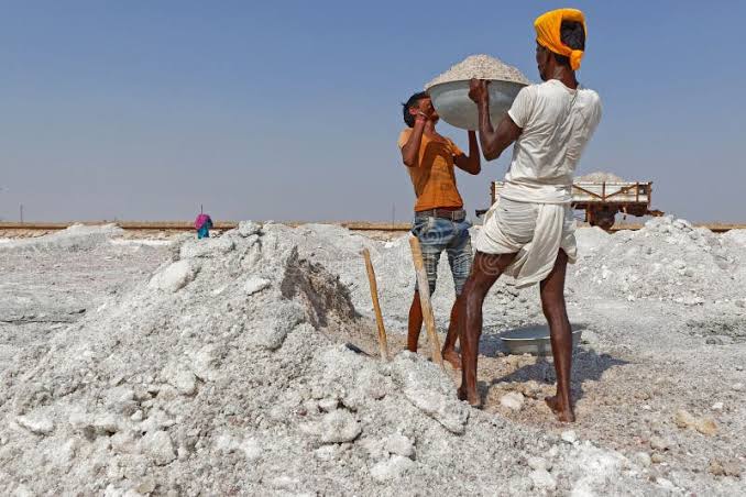 Rajasthan Salt Production Stock Photos - Free & Royalty-Free Stock Photos from Dreamstime