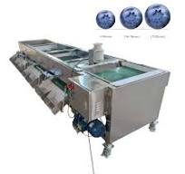 Industrial Tomato Onion Carrot Potato Sour Cherry Fruit Blueberry Size Grading Sorting Machine and Wash Waxing optical sorter