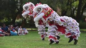 Dalam budaya cina tradisional, singa, seperti naga cina, hanyalah binatang yang ada dalam mitos, dan sebenarnya singa tidak ada di cina. Kostum Singa Cina Stok Video Kostum Singa Cina Rekaman Bebas Royalti Depositphotos