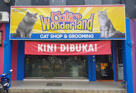Due to certain feedbacks, i would like to clarify that this pet shop below does not belong to me. Cats Wonderland Seksyen 7 Shah Alam Home Facebook