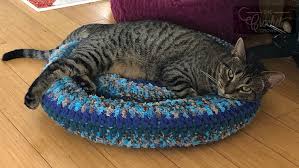 This bernat blanket afghan pattern is not just quick but also easy enough for beginners. Crochet Padded Rim Cat Nap Bed Pattern The Crochet Crowd
