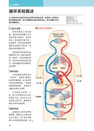 Discover the muscle anatomy of every muscle group in the human body. 3d Human Anatomy Book Body Muscle Anatomy And Physiology With Picture Anatomy Book Anatomy And Physiologybook Book Aliexpress