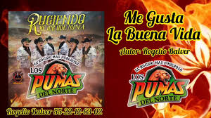 13,901 likes · 2,363 talking about this. Me Gusta La Buena Vida Los Pumas Del Norte Shazam