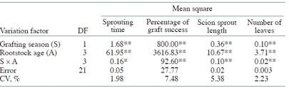 Rootstock Age And Grafting Season Affect Graft Success And