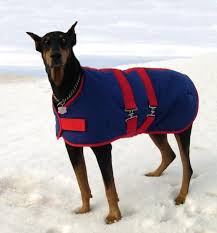 Warm Winter Dog Coat Size 26 For Big Dogs Waterproof Warm Etsy Dog Winter Coat Dog Coats Big Dogs