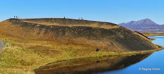 Image result for Pseudovigna