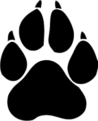 Pin On Animals