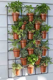 Kraader Balkon Flanell Vertikal Garten Verbe Blutenpuppe Kraaderbalkonflanellvertikalgartenverbebluten Vertical Garden Plants Vertical Garden Balcony Plants