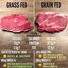 Grass Fed Vs Grain Fed Grass Fed Beef Beef Beef Nutrition