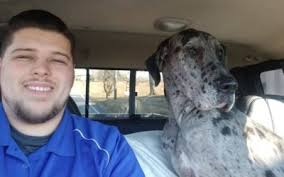 Pittsburgh set to reopen spay and neuter program for all cats, other pets