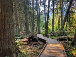 Check spelling or type a new query. Trail Of The Cedars Montana Alltrails
