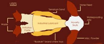 Celebrate art with our creative partners. A Guild Wars 2 First Impression The Ancient Gaming Noob