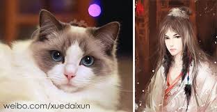 Kedi Ve Kopekler Insan Olsaydi Konulu Illustrasyonlar Deniz Hummasi Xue Daixun Illustrasyonlar Kedi Kopek