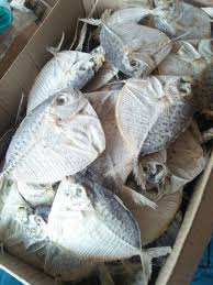Yuk bikin sajian ikan asam padeh ala masakan minang yang begitu khas. Ikan Asin Kempar Pati Semar 500gr Shopee Indonesia