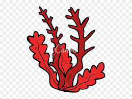 Cartoon Seaweed Algae Free Transparent Png Clipart Images Download Available in png and vector. cartoon seaweed algae free