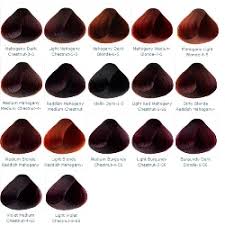 28 Albums Of Mahogany Hair Color Chart Explore Thousands