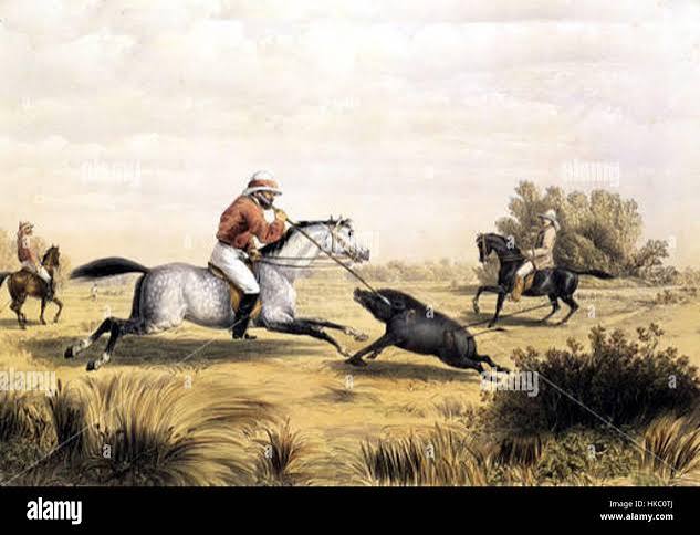 Hunting in india in the 19th century hi-res stock photography and images - Page 2 - Alamy