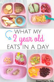 Toddler Meal Ideas Feeding Schedule For A 2 Year Old Healthy Toddler Meals Easy Toddler Meals Toddler Meals