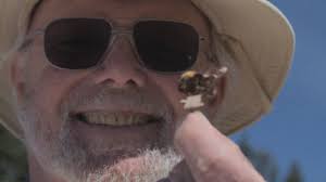 The old man and the bee